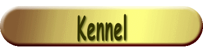 Kennel